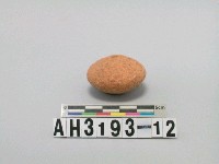 藏品(扁圓形陶紡輪)的圖片